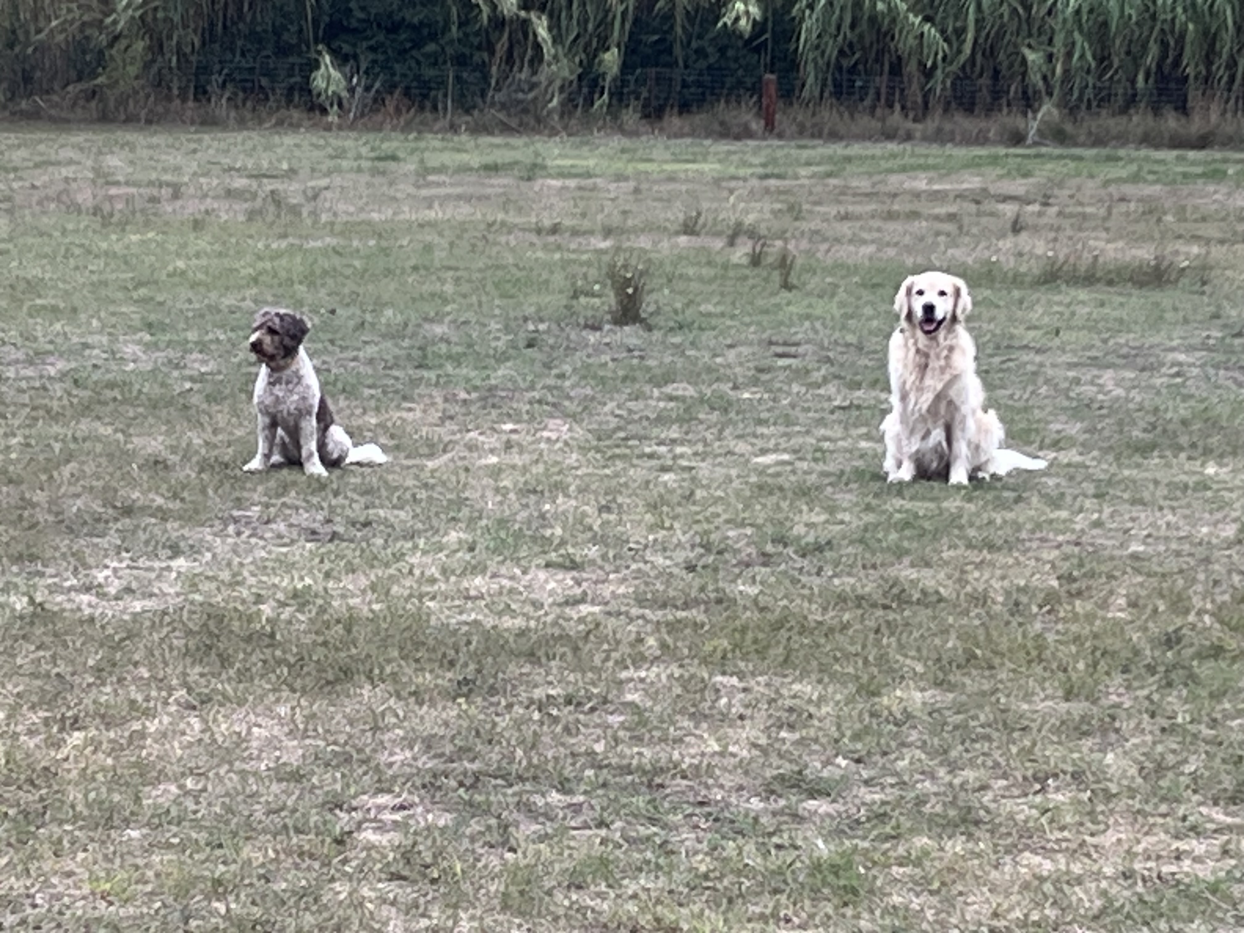 IMG_7735.jpeg